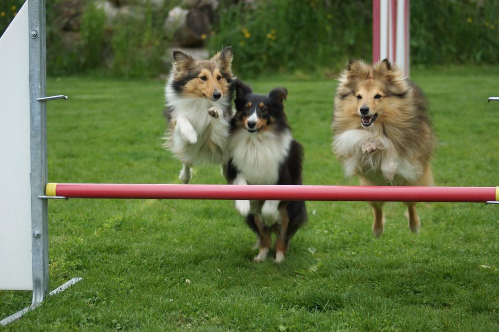 Agility